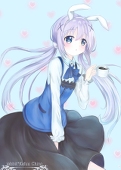 萌小兔