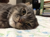あもね奏