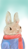 suet