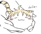 rai