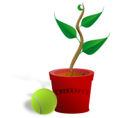 Harrier Tennis