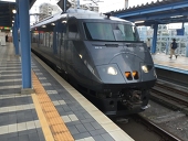 787_つばめ