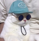 Neko Chang