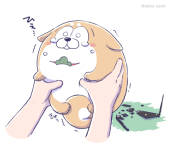 あき太@松