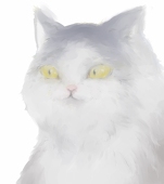 いぬやま