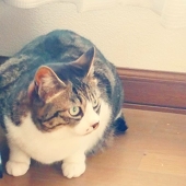 ルケルク