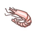 しまえび