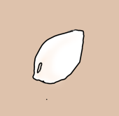 生麦