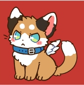 🐱