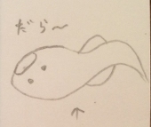 だらけなまず
