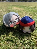 はちこ