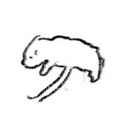 たちねね