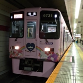 かになべ23号