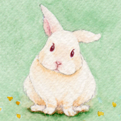 ヤムヤム