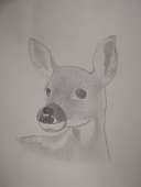 おふとぅん