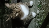 マサユキ