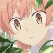 Strelitzia