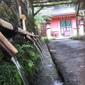 うみのかい