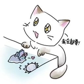 冬夏有猫子
