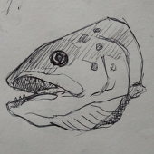 Solus Vates