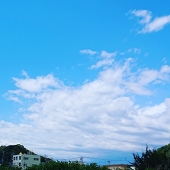 牡丹