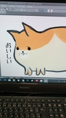 桃色蜜柑