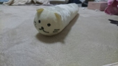 里見八猫伝