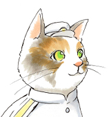三毛猫@八百屋A