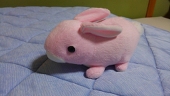 藍