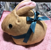 如月 藤璃