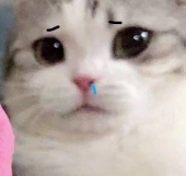 Rinkoo
