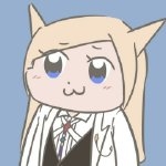 一只冬猫