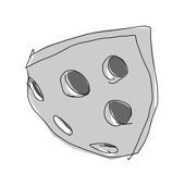 rara