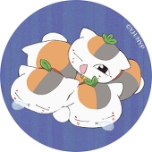 蛍イカ