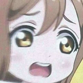 YourWaifuIsGay