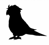 りもねん
