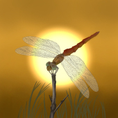 夕陽ノ