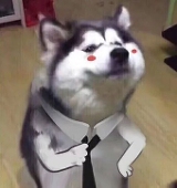 Cyo_