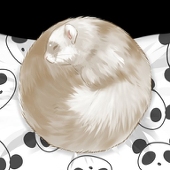 kuroi(¦3[▓▓]