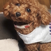 をわふ