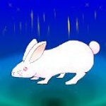 ラビト