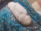 巳槻(みつき)