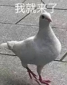 百川