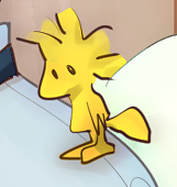 いすけ