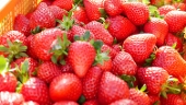 🍓