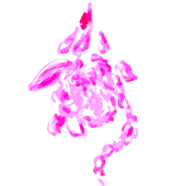 だら