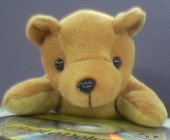 him