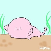 ｻﾞｷｺﾁｬﾝ