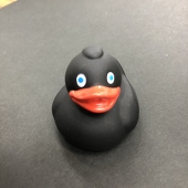 おちこぼれなす