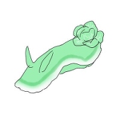 む